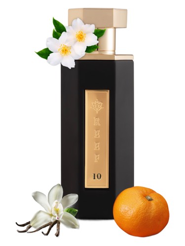 Reef 10 - Reef Perfumes 100 ML