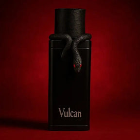 Vulcan Black Friday - French Avenue